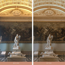 Load image into Gallery viewer, film presets for mobile photos