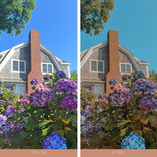 Load image into Gallery viewer, Film Mobile Presets for Lightroom Mobile